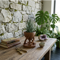 Vaso Escultural Organic Roots!